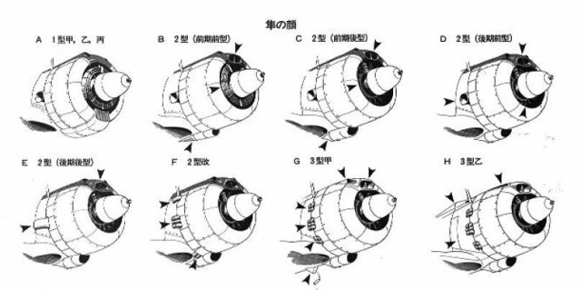 Новый рисунок.jpg
